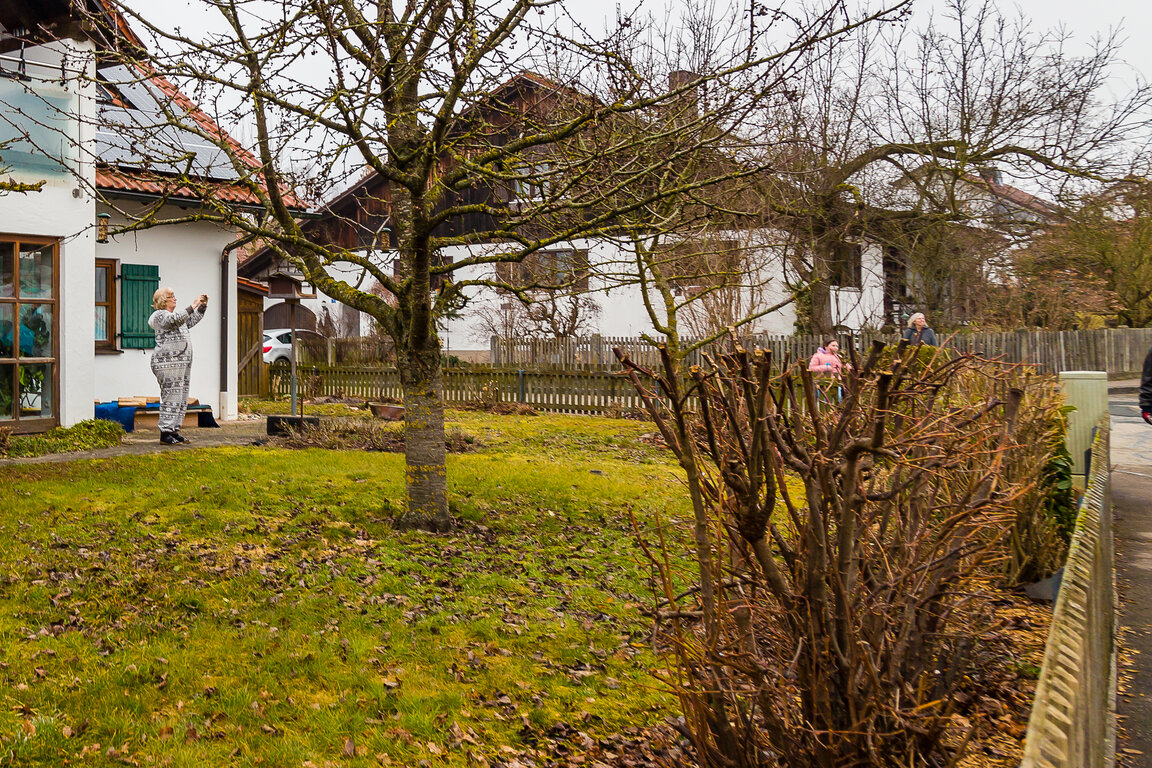 Image: JA 16076 Faschingswagen Landjugnend 01_03_2025.jpg